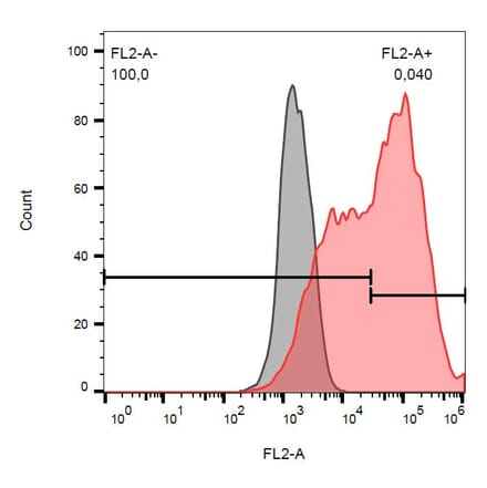 Flow Cytometry - Anti-DcR1 Antibody [TRAIL-R3-02] (PE) (A86664)