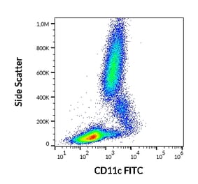 Flow Cytometry - Anti-CD11c Antibody [BU15] (FITC) (A86671)