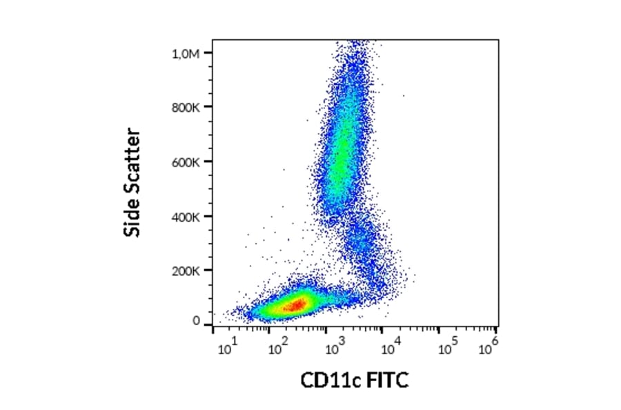 Flow Cytometry - Anti-CD11c Antibody [BU15] (FITC) (A86671)
