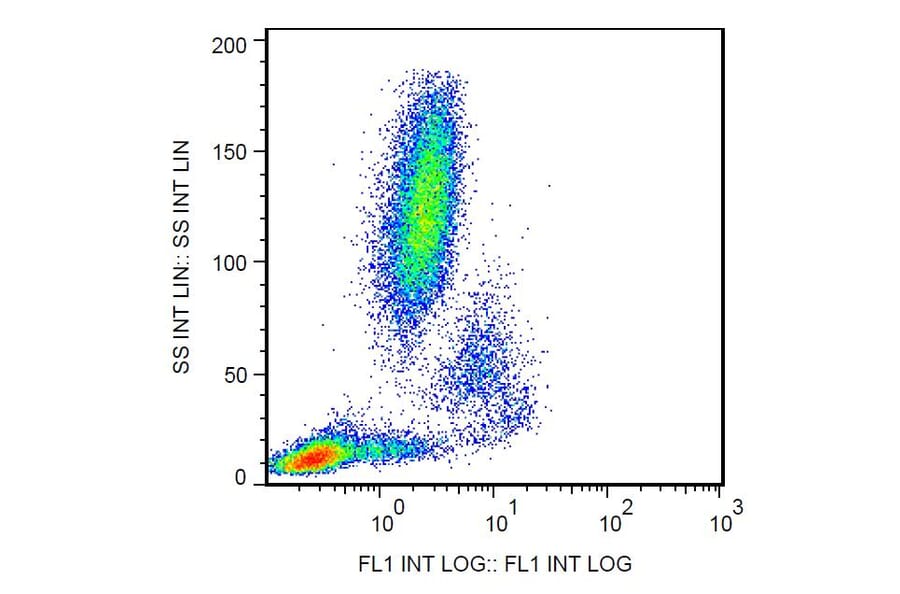 Flow Cytometry - Anti-CD11c Antibody [BU15] (FITC) (A86670) - Antibodies.com