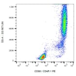 Flow Cytometry - Anti-C5a-R Antibody [S5/1] (PE) (A86677)