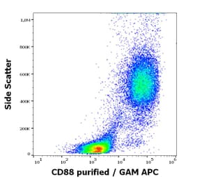 Flow Cytometry - Anti-C5a-R Antibody [S5/1] (A86678)