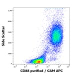 Flow Cytometry - Anti-C5a-R Antibody [S5/1] (A86678)