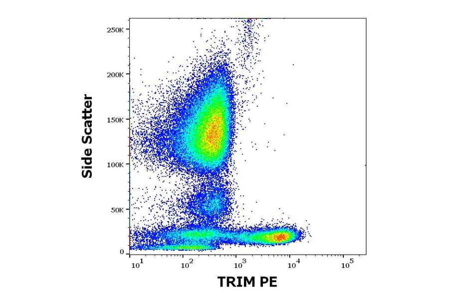 Flow Cytometry - Anti-TRIM Antibody [TRIM-04] (PE) (A86679)