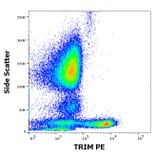 Flow Cytometry - Anti-TRIM Antibody [TRIM-04] (PE) (A86679)
