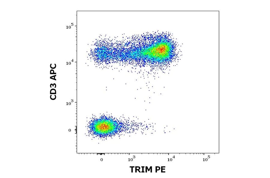 Flow Cytometry - Anti-TRIM Antibody [TRIM-04] (PE) (A86679)