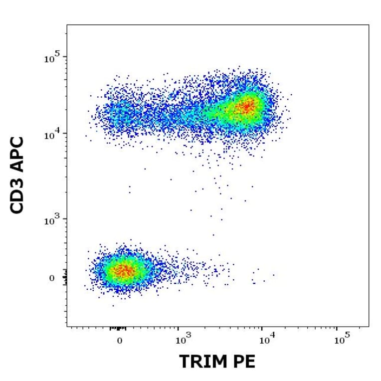 Flow Cytometry - Anti-TRIM Antibody [TRIM-04] (PE) (A86679)