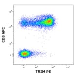 Flow Cytometry - Anti-TRIM Antibody [TRIM-04] (PE) (A86679)