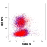 Flow Cytometry - Anti-TRIM Antibody [TRIM-04] (PE) (A86679)