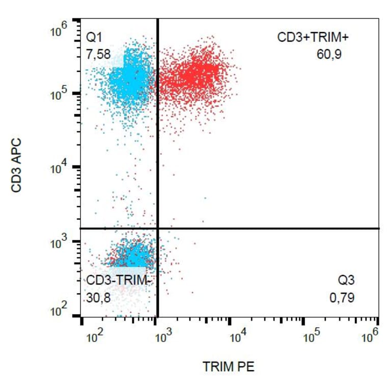 Flow Cytometry - Anti-TRIM Antibody [TRIM-04] (PE) (A86677) - Antibodies.com