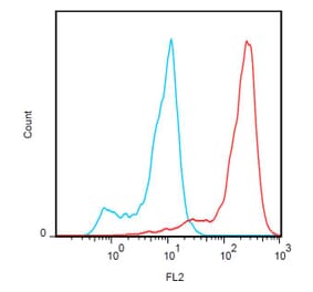Flow Cytometry - Anti-FOLR2 Antibody [EM-35] (PE) (A86679) - Antibodies.com