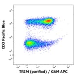 Flow Cytometry - Anti-TRIM Antibody [TRIM-04] (A86682)