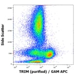 Flow Cytometry - Anti-TRIM Antibody [TRIM-04] (A86682)