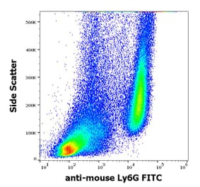 Flow Cytometry - Anti-Ly6G Antibody [RB6-8C5] (FITC) (A86685)