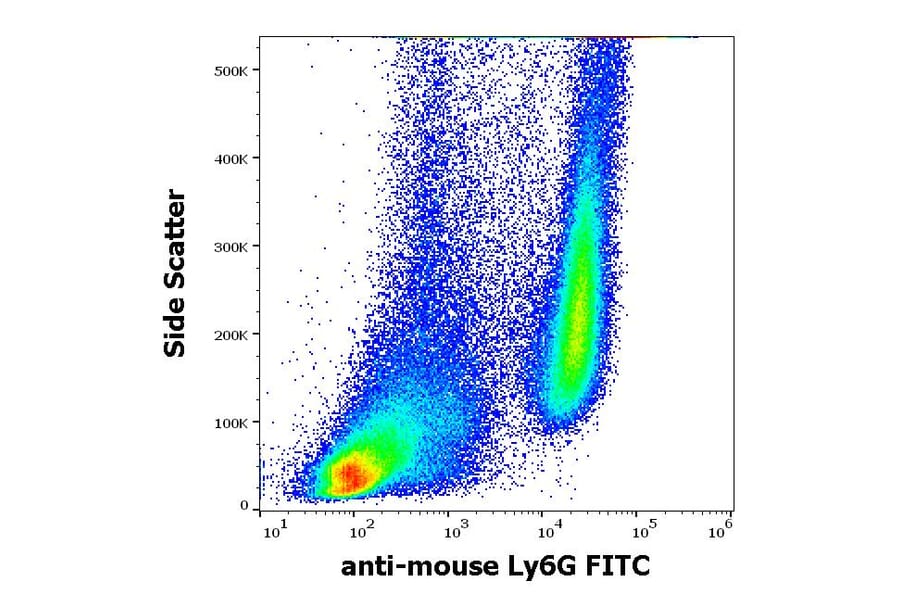 Flow Cytometry - Anti-Ly6G Antibody [RB6-8C5] (FITC) (A86685)