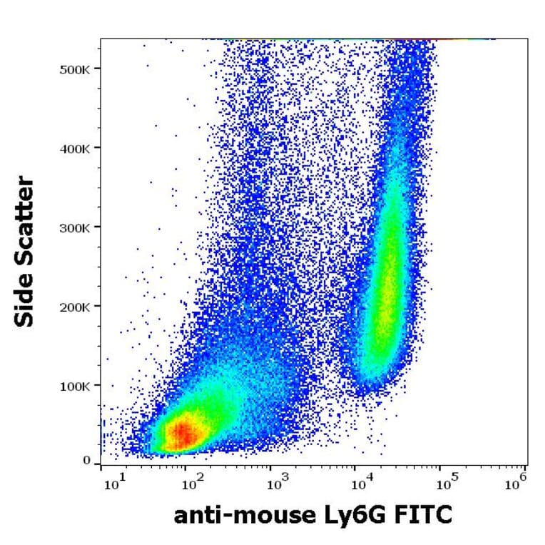 Flow Cytometry - Anti-Ly6G Antibody [RB6-8C5] (FITC) (A86685)