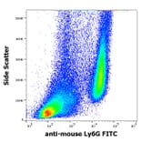 Flow Cytometry - Anti-Ly6G Antibody [RB6-8C5] (FITC) (A86685)