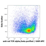 Flow Cytometry - Anti-TCR alpha + TCR beta Antibody [R73] (A86687)