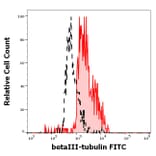 Flow Cytometry - Anti-beta III Tubulin Antibody [TU-20] (FITC) (A86693)
