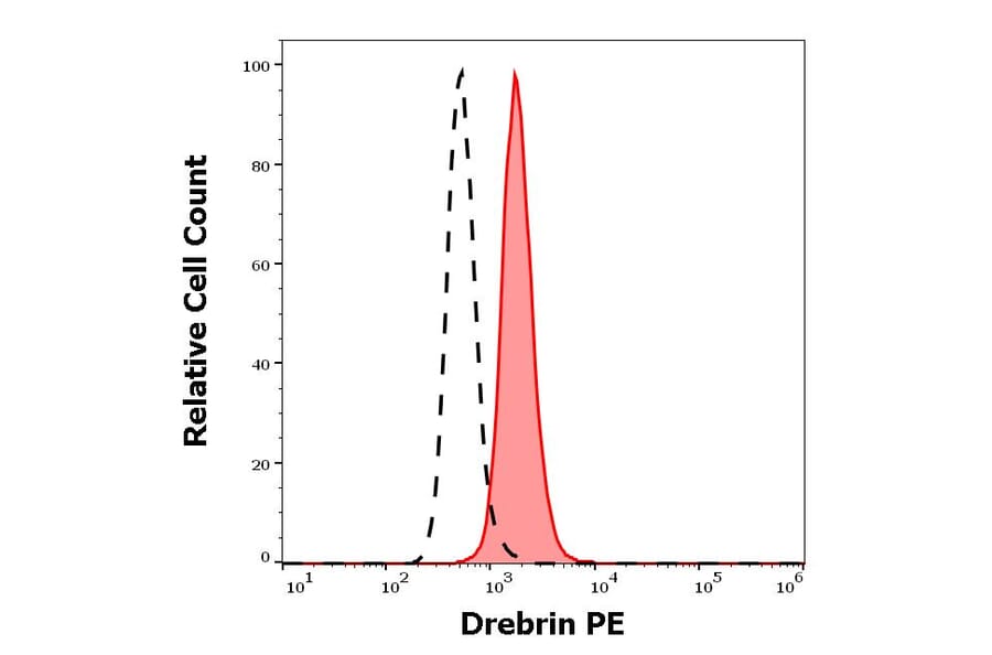 Flow Cytometry - Anti-Drebrin Antibody [DBN-N-03] (PE) (A86694)