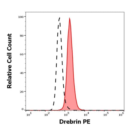 Flow Cytometry - Anti-Drebrin Antibody [DBN-N-03] (PE) (A86694)