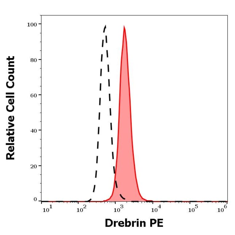 Flow Cytometry - Anti-Drebrin Antibody [DBN-N-03] (PE) (A86694)