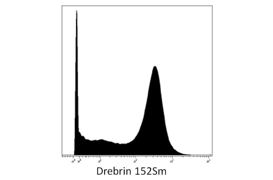 Mass Cytometry - Anti-Drebrin Antibody [DBN-N-03] (A86704) - Antibodies.com