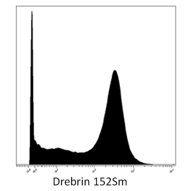 Mass Cytometry - Anti-Drebrin Antibody [DBN-N-03] (A86704) - Antibodies.com