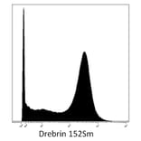 Mass Cytometry - Anti-Drebrin Antibody [DBN-N-03] (A86704) - Antibodies.com
