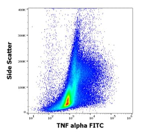 Flow Cytometry - Anti-TNF alpha Antibody [MAb11] (FITC) (A86711)