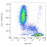 Flow Cytometry - Anti-CD81 Antibody [M38] (APC) (A86712) - Antibodies.com