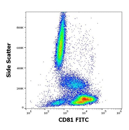 Flow Cytometry - Anti-CD81 Antibody [M38] (FITC) (A86716)