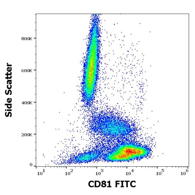 Flow Cytometry - Anti-CD81 Antibody [M38] (FITC) (A86716)
