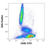Flow Cytometry - Anti-CD81 Antibody [M38] (FITC) (A86716)