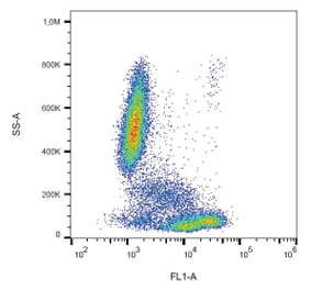 Flow Cytometry - Anti-CD81 Antibody [M38] (FITC) (A86715) - Antibodies.com