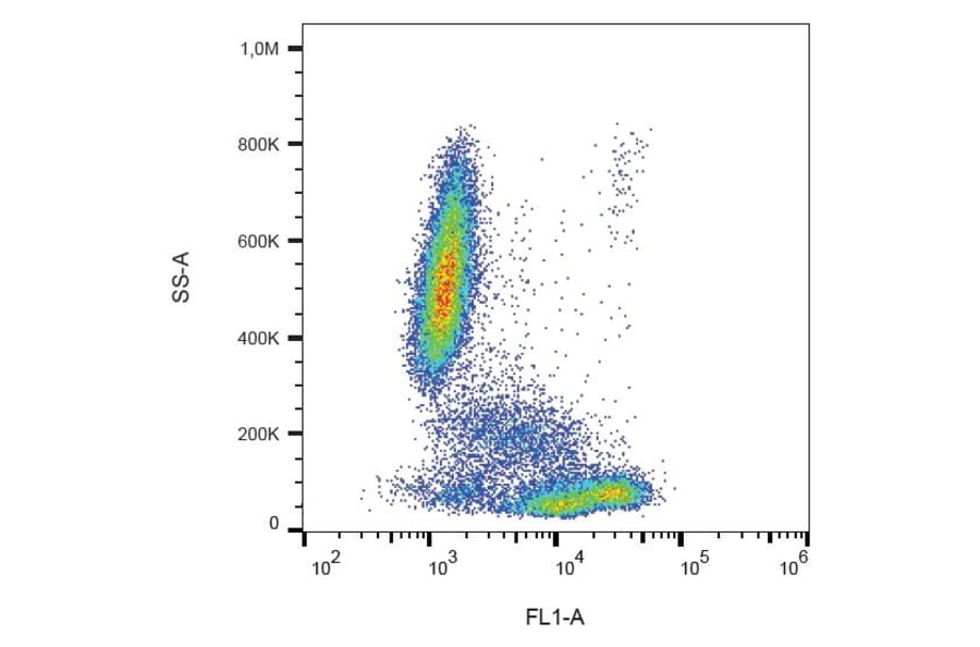 Flow Cytometry - Anti-CD81 Antibody [M38] (FITC) (A86715) - Antibodies.com