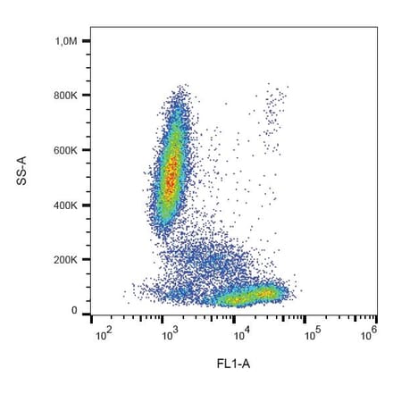 Flow Cytometry - Anti-CD81 Antibody [M38] (FITC) (A86715) - Antibodies.com