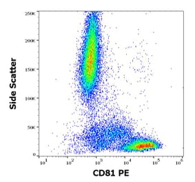 Flow Cytometry - Anti-CD81 Antibody [M38] (PE) (A86718)