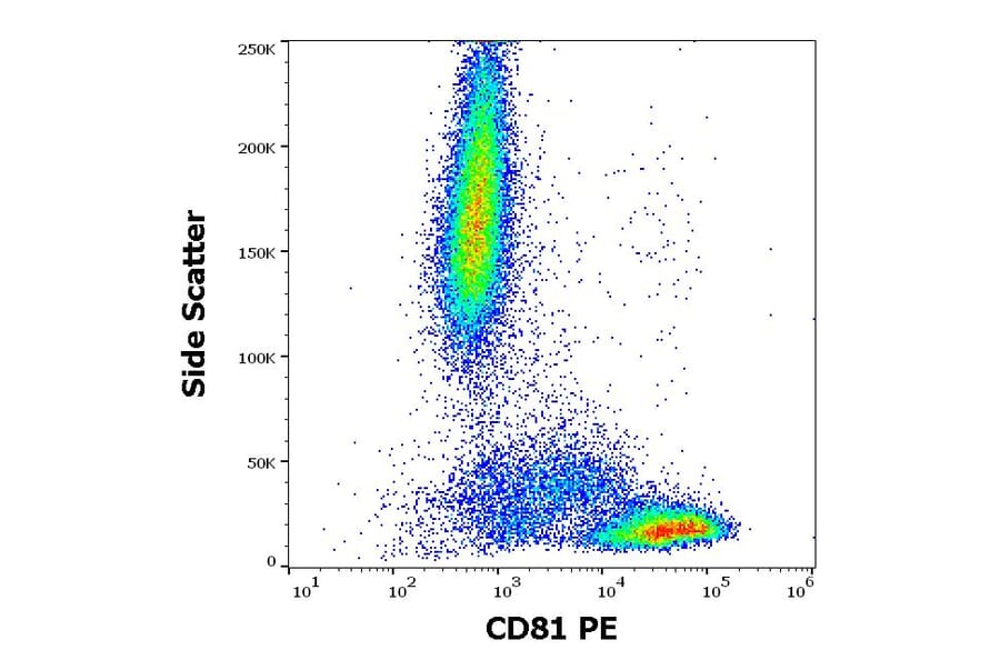 Flow Cytometry - Anti-CD81 Antibody [M38] (PE) (A86718)