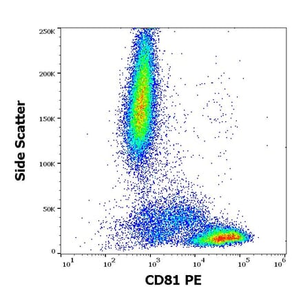 Flow Cytometry - Anti-CD81 Antibody [M38] (PE) (A86718)