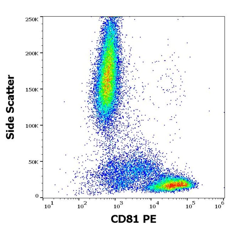 Flow Cytometry - Anti-CD81 Antibody [M38] (PE) (A86718)