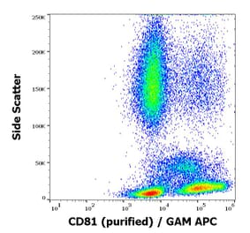 Flow Cytometry - Anti-CD81 Antibody [M38] (A86719)