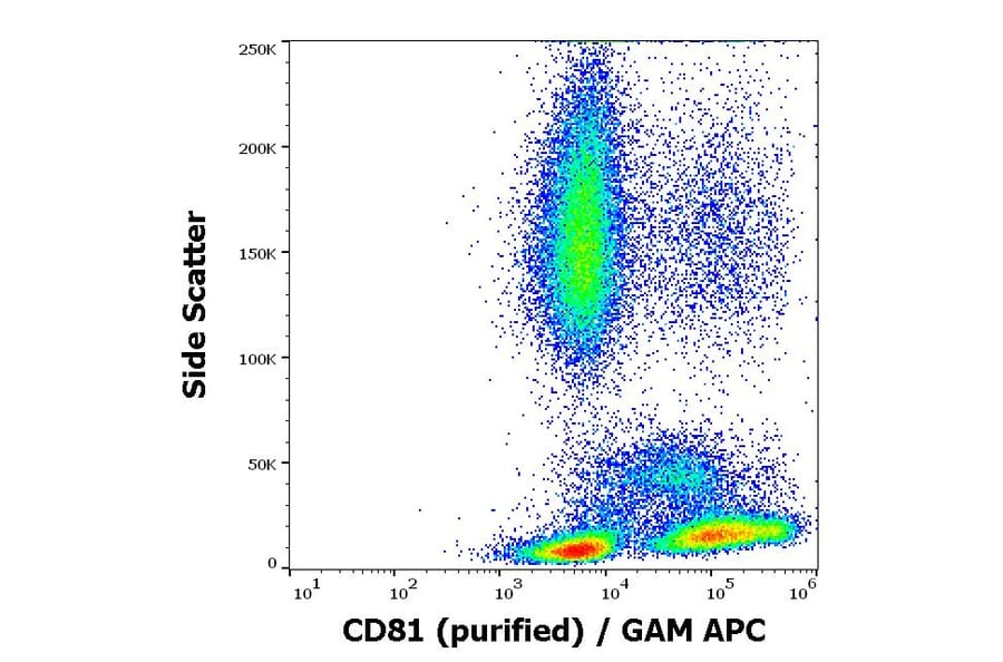 Flow Cytometry - Anti-CD81 Antibody [M38] (A86719)
