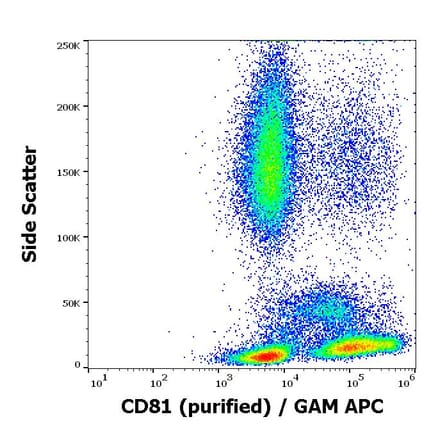Flow Cytometry - Anti-CD81 Antibody [M38] (A86719)