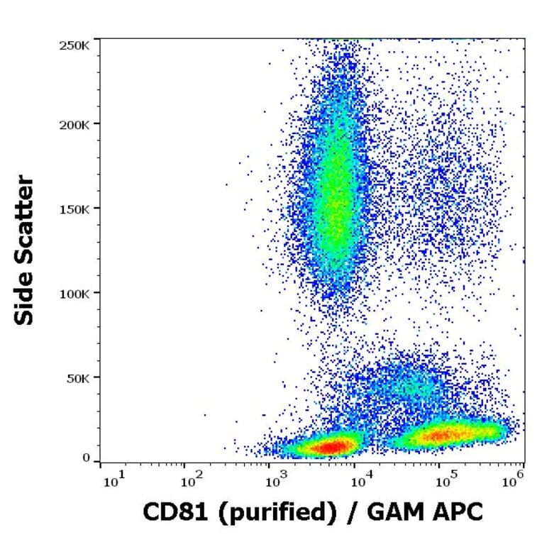 Flow Cytometry - Anti-CD81 Antibody [M38] (A86719)