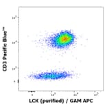 Flow Cytometry - Anti-LCK Antibody [LCK-01] (A86727)