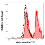 Flow Cytometry - Anti-alpha Tubulin Antibody [TU-01] (FITC) (A86729)