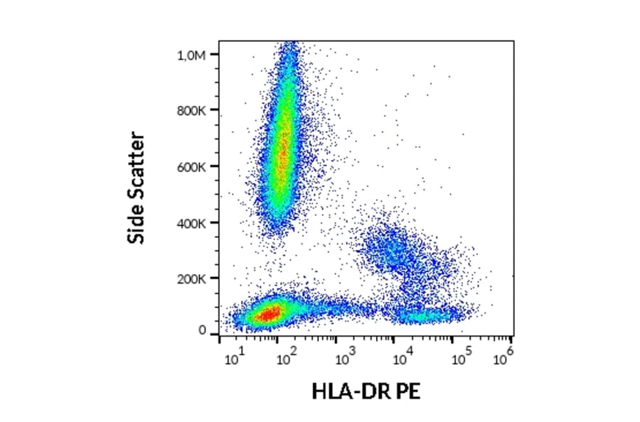 Flow Cytometry - Anti-HLA DR Antibody [L243] (PE) (A86734)