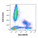 Flow Cytometry - Anti-HLA DR Antibody [L243] (PE) (A86734)