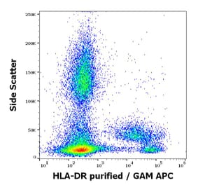 Flow Cytometry - Anti-HLA-DR Antibody [L243] (A86736)